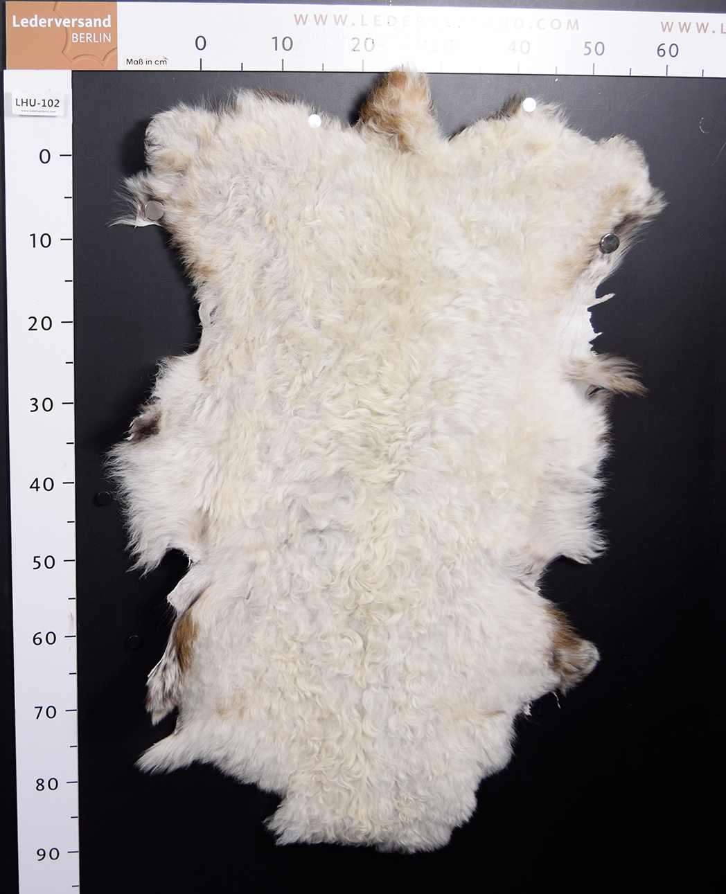 Große Auswahl Lammfell Schaffell ungeschoren wie gewachsen Naturfelle